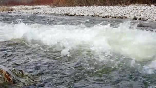 Detailní Záběr Bílých Vln Říčním Toku Během Slunečného Jarního Dne — Stock video