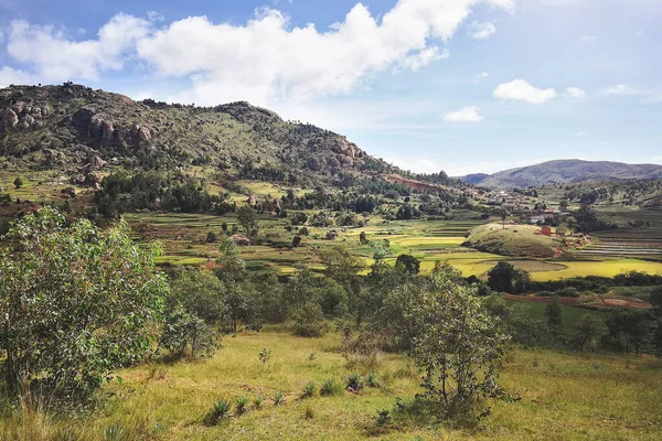 Typisk Madagaskar Landskap Regionen Nära Tsiafahy Små Kullar Täckta Med — Stockfoto