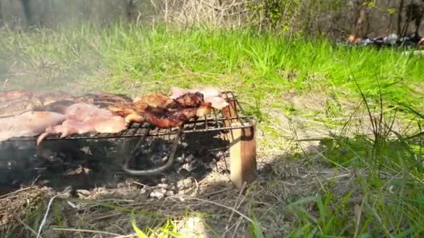 Barbecue in de natuur, zomer — Stockvideo