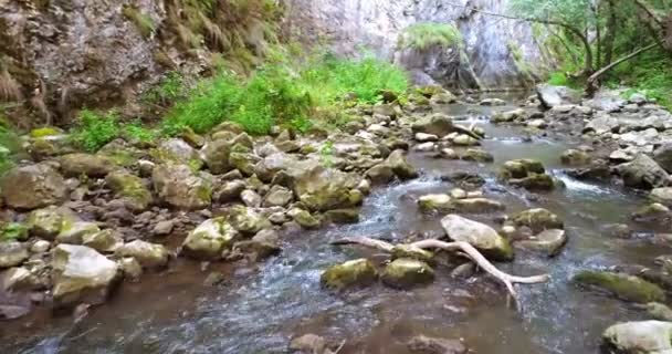 Вода ущелині пташиного польоту — стокове відео