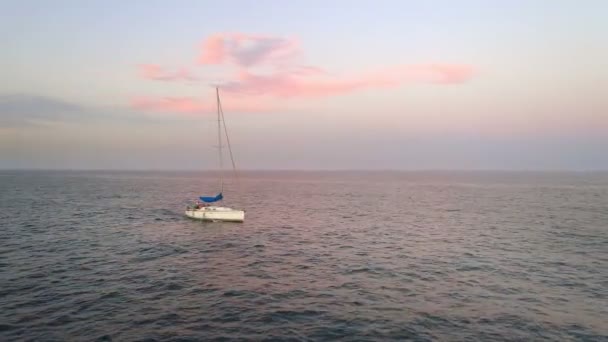 Pleasure Boat Sailing on Sea — Stock Video