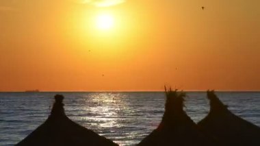 Pastoral sahil, saman şemsiye siluet plajda, zaman atlamalı doğarken
