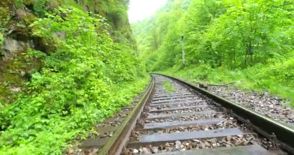 Bir Demiryolu Havadan Görünümü Yaz — Stok video