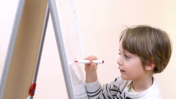 Netter Junge Zeichnet Kindergarten Auf Einer Weißen Tafel — Stockvideo