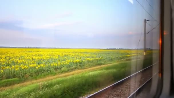 Vista Através Janela Trem Pôr Sol Verão — Vídeo de Stock