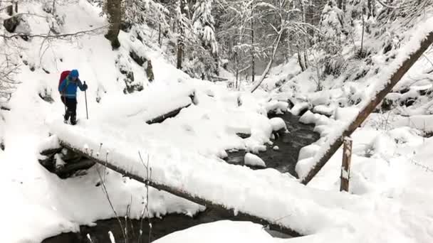 Kvinna Korsar Floden Loggen Bron Fjällen Vintertid — Stockvideo