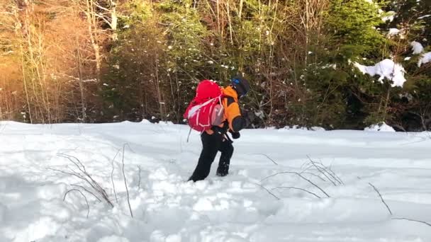 アルピニスト エアバッグ花火を用いた雪崩保護バックパックのテスト — ストック動画