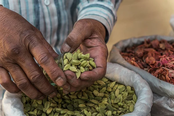 Men 's hands hold a green cardamom — стоковое фото