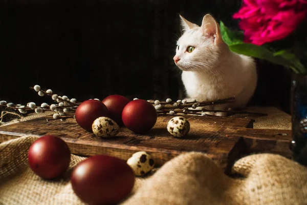 white cat, easter red eggs, quail eggs, flowers lie on a brown wooden board