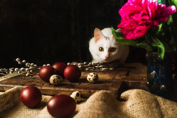 white cat, easter red eggs, quail eggs, flowers lie on a brown wooden board