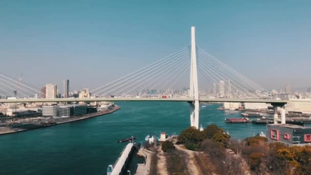 Osaka Japonya Hyperlapse Videosu Videosu — Stok video