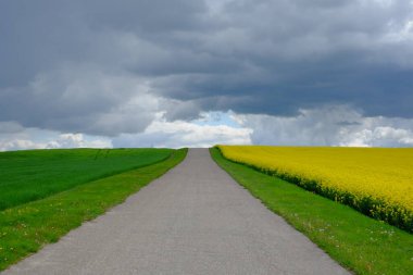 manzara büyük bulutlar ve güzel sarı alanlar