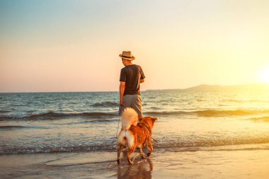 Bir adam ve bir köpek sahilde ve gün batımında.
