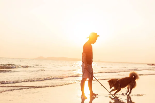 Uomo Cane Stanno Sulla Spiaggia Tramonto — Foto Stock