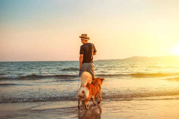 Homme Chien Debout Sur Plage Coucher Soleil — Photo