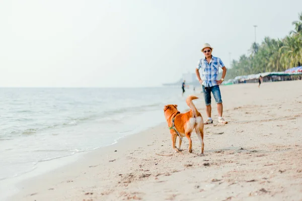 Uomo Gioca Con Cane Sulla Spiaggia — Foto Stock