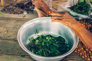 Cassia Ağacı, Tayland Bakır Podl. Yaşlı kadınlar ahşap masaya oturur ve yemek malzemesi ile yemek hazırlarlar..