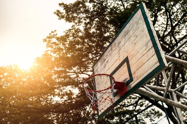公園の木の下のバスケットボールのフープ — ストック写真