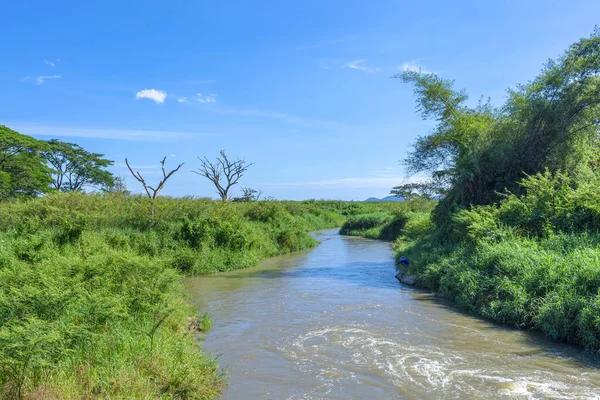 Hermoso Paisaje Natural Río Bosque Verde Tropical Con Montañas Fondo — Foto de Stock