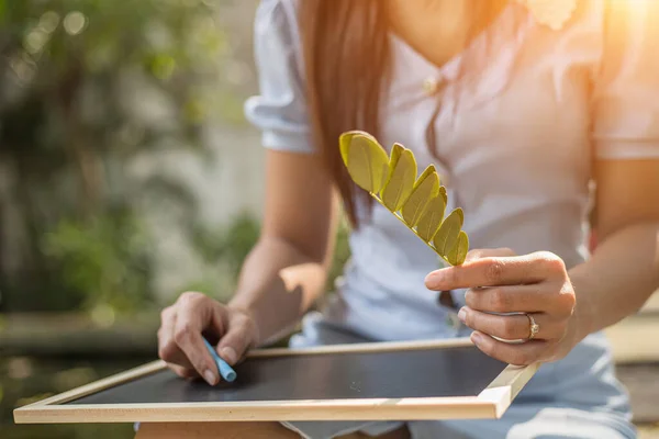 Les Mains Utilisent Craie Pour Dessiner Écrire Balckboard Dans Les — Photo