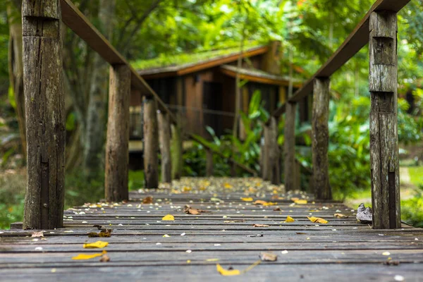 Puente Madera Bosque — Foto de Stock