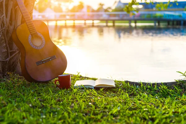 Гітарна Акустика Стоїть Під Деревом Парках Світло Заходу Сонця — стокове фото