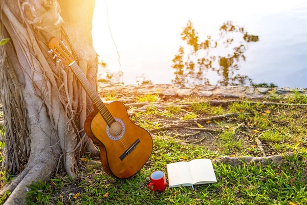 Guitarra Acústica Pie Bajo Árbol Los Parques Luz Del Atardecer — Foto de Stock