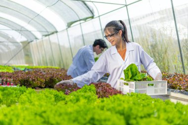 Bilimadamları çözeltiyi saklar ve test ederler, Kimyasal denetim, Organik ve hidrofonik çiftlikteki tazeliği kontrol ederler.