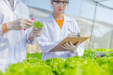 Bilimadamları çözeltiyi test eder, kimyasal inceleme, organik ve hidroponik çiftlikteki tazeliği kontrol eder.