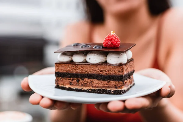 Çilekli Çikolatalı Pasta Tatlı Konsepti — Stok fotoğraf