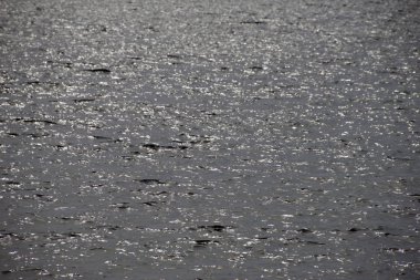 soyut deniz suyu arkaplanı