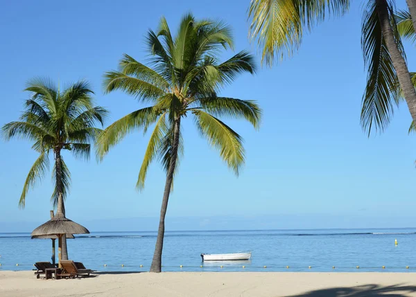 Praia tropical com areia branca, palmeiras e oceano azul — Fotografia de Stock