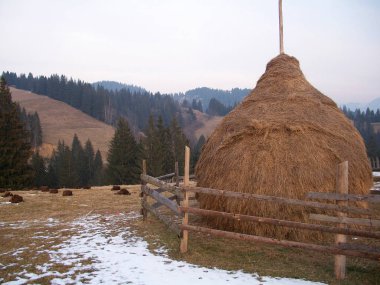 Samanlık Dağları arka planda