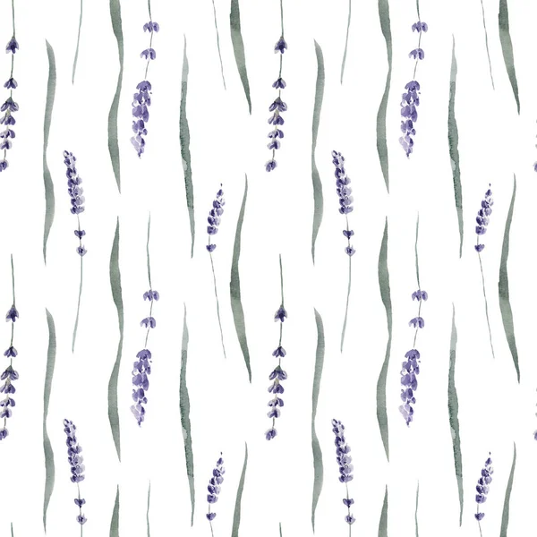 Lavender watercolor hand painted provence seamless pattern leaves — Stock Photo, Image