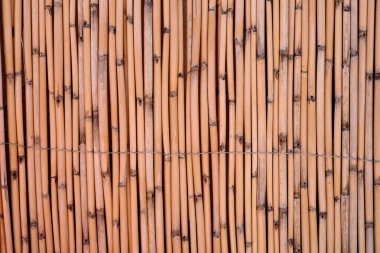 Reed tarama dokusu, Doğal Söğüt Bahçesi Çiti, Bambu dokusu arka planı.