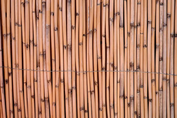 Reed Screeningstruktur Natural Willow Garden Fence Bambus Tekstur Bakgrunn – stockfoto