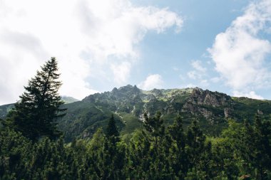 Yeşil ve kayalık Dağları ile güzel manzara