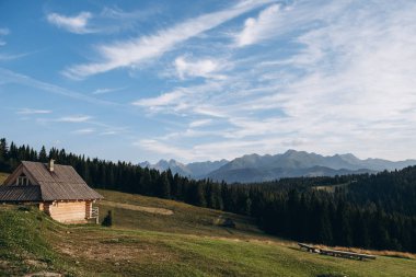 Dağ, orman, vadi ve ahşap ev güzel manzara