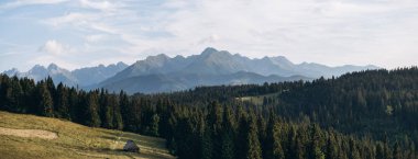 Güzel panoramik dağ, orman, vadi ve w