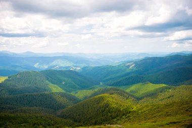 Karpat Dağları yaz manzara