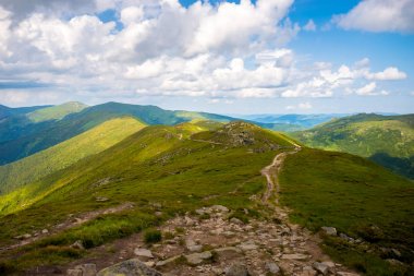 Karpat Dağları yaz manzara
