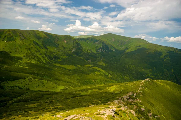 Karpaten zomer landschap — Stockfoto