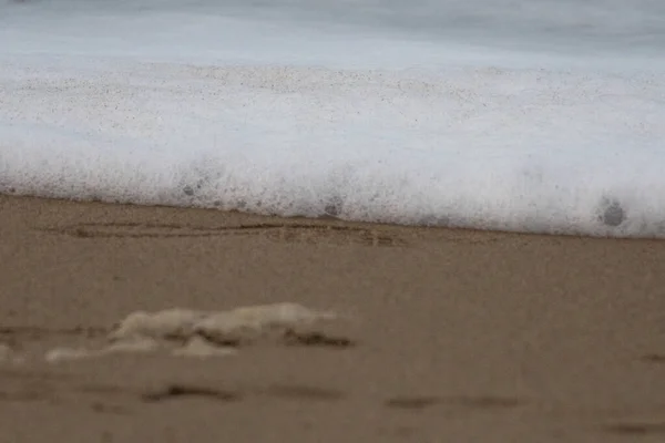 海浪中的泡沫到达了沙滩海岸 — 图库照片