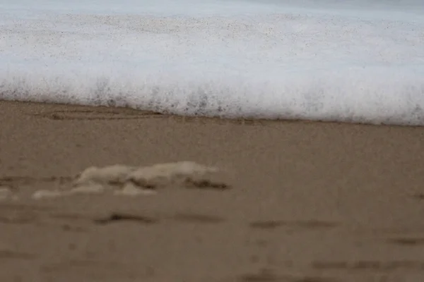 A espuma de uma onda que atinge a costa arenosa — Fotografia de Stock