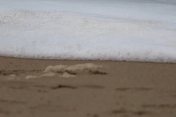 海浪中的泡沫到达了沙滩海岸 — 图库照片