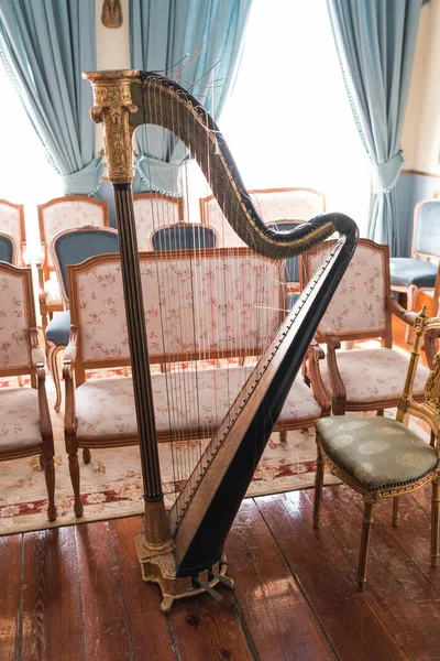 Photo of a very old wooden harp — Stock Photo, Image