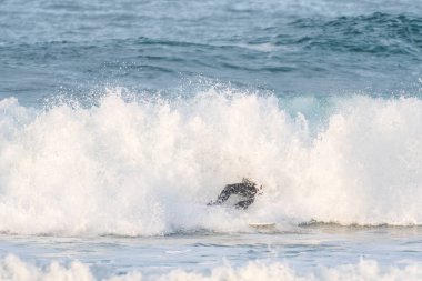Sörfçü, İspanya 'nın kuzey kıyısında bir sahilde büyük bir dalga tarafından yutuldu.