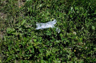 Çimlerin üzerinde duran plastik eldiven. Covid19 'un atıkları. Her şey yere atıldı..