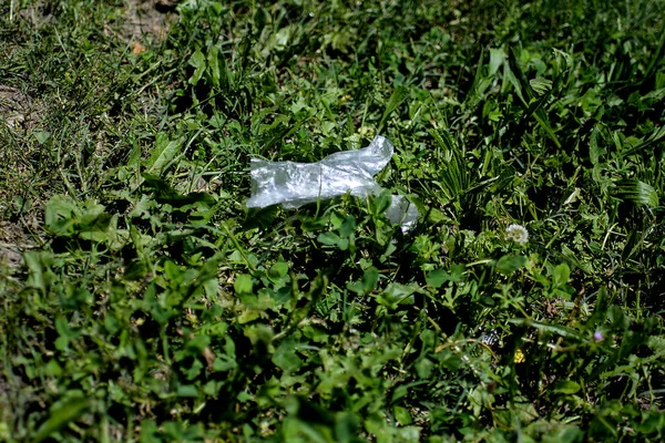 Plastic Glove Lying Grass Waste Covid19 Everything Thrown Ground — Stock Photo, Image