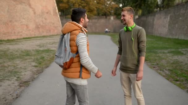 Two Handsome Youngsters Shaking Hands Seeing Each Other Long Time — Stock Video